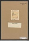 Coscinodiscus pulchellus Grev. (de-Toni-Nr.: Genus 202, Species 4891) Zeichnungen Sammlung Grunow Nr. 8651 (NHMW-BOT-W0378054)